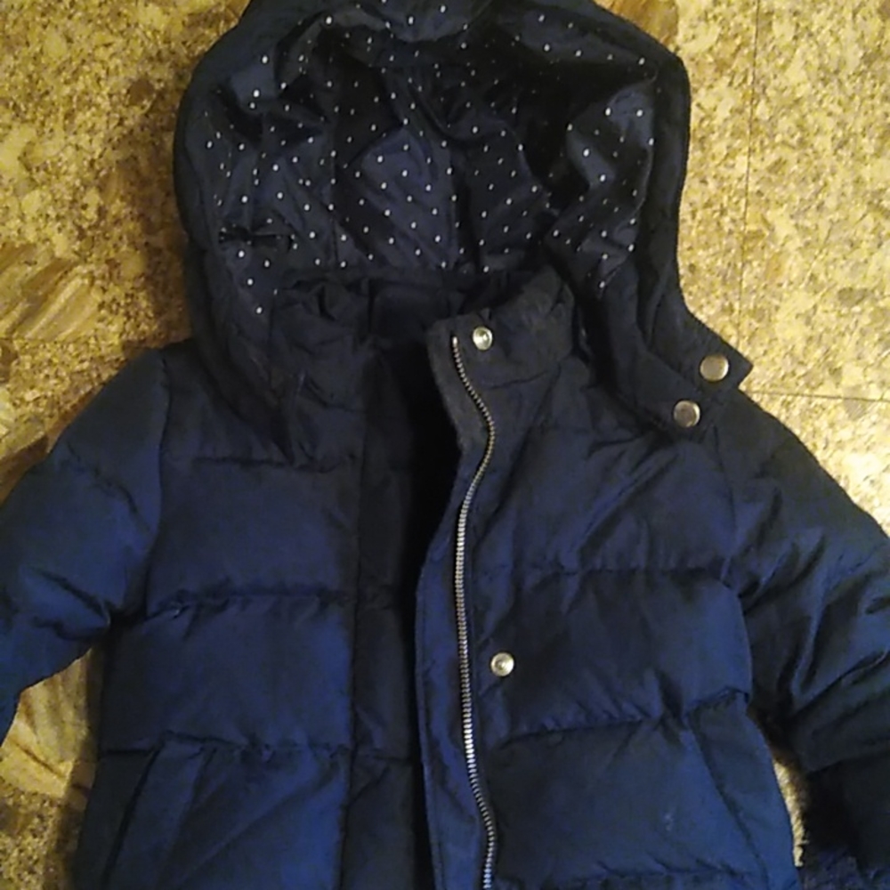 Baby Gap, Toddler Navy Blue Winter Jacket